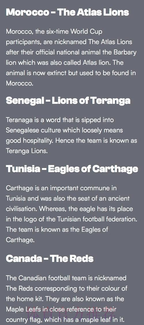 如何选择2022年世界杯下注推荐热门球队